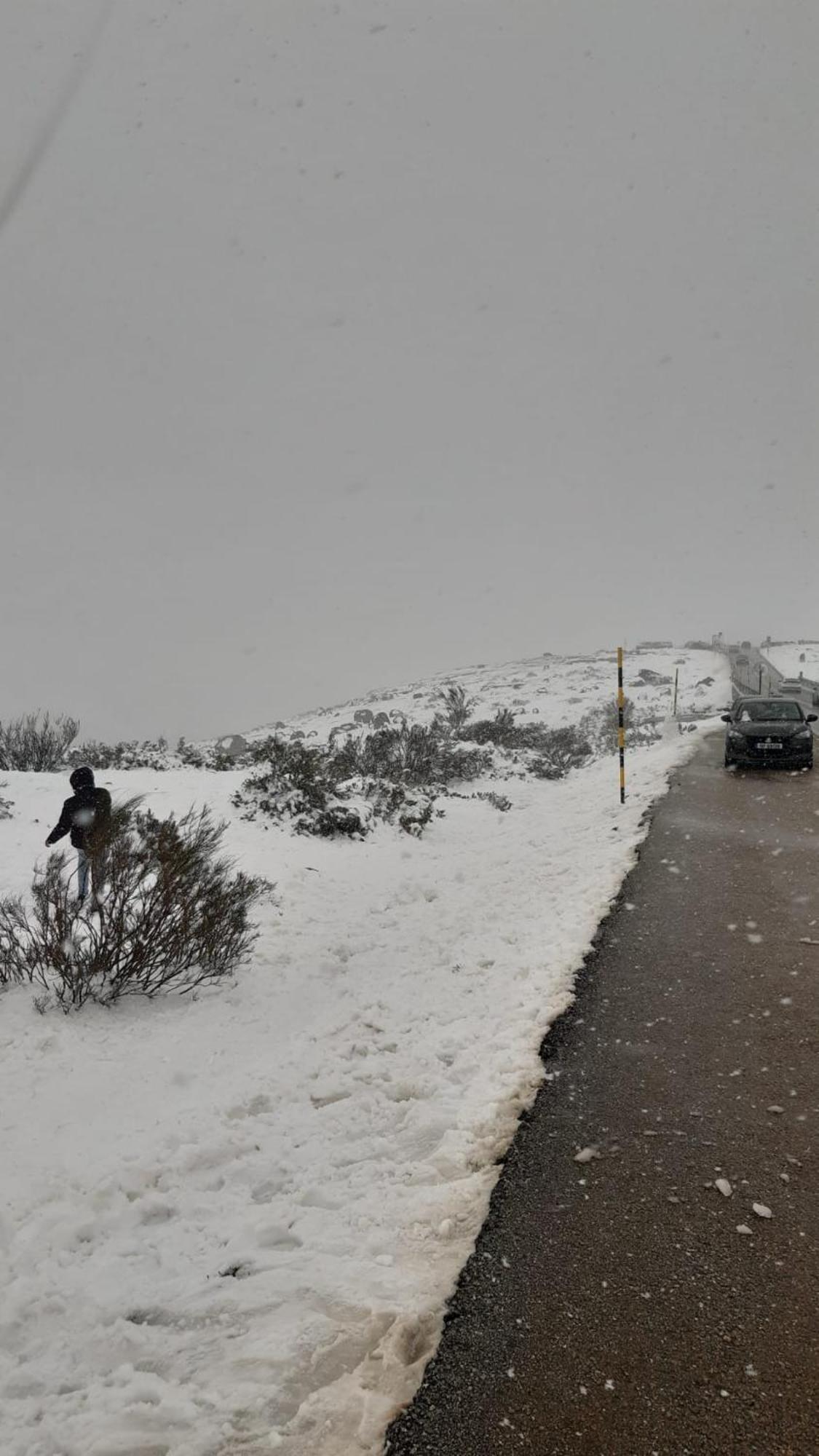 Serra Da Estrela - Casa Castro ゴウヴェイア エクステリア 写真