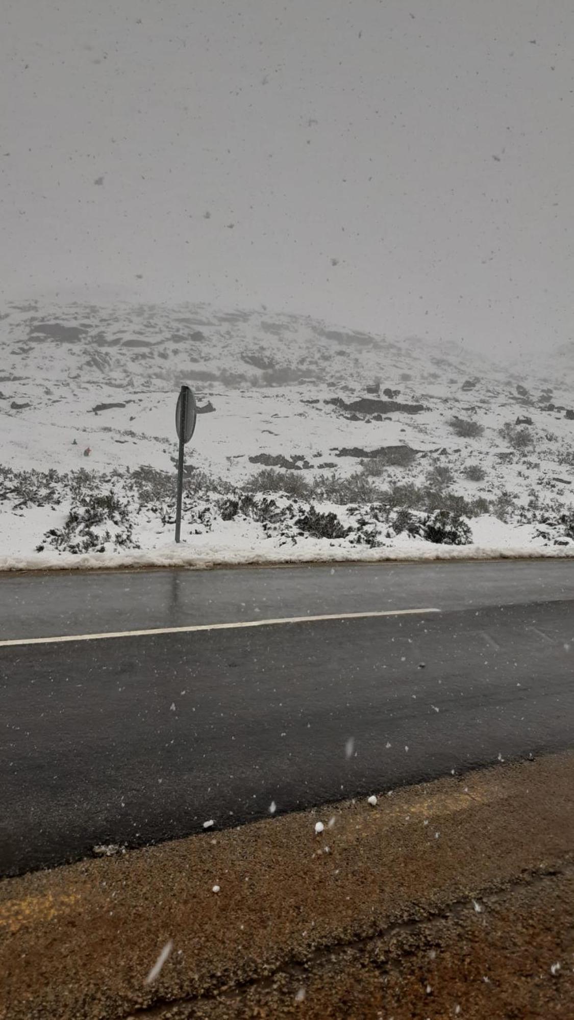 Serra Da Estrela - Casa Castro ゴウヴェイア エクステリア 写真