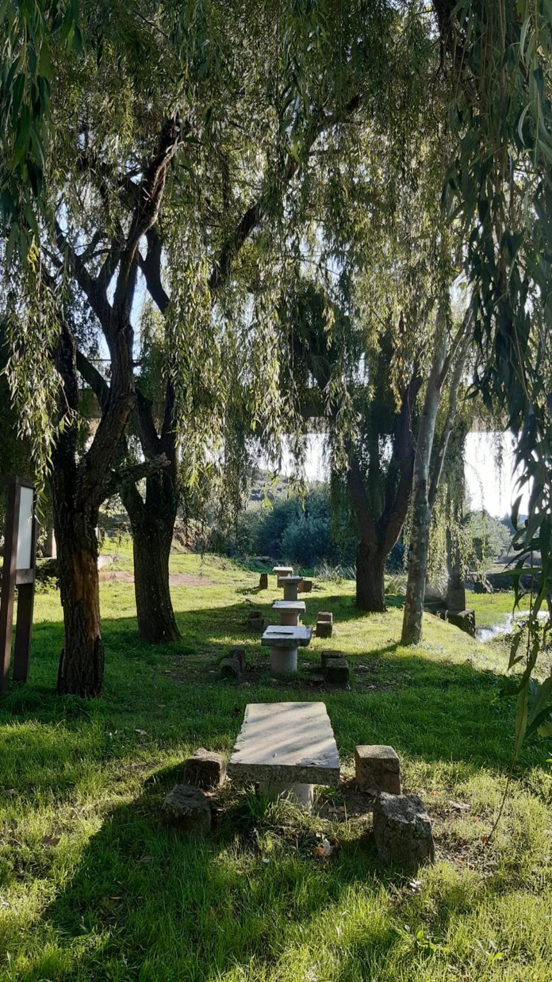 Serra Da Estrela - Casa Castro ゴウヴェイア エクステリア 写真